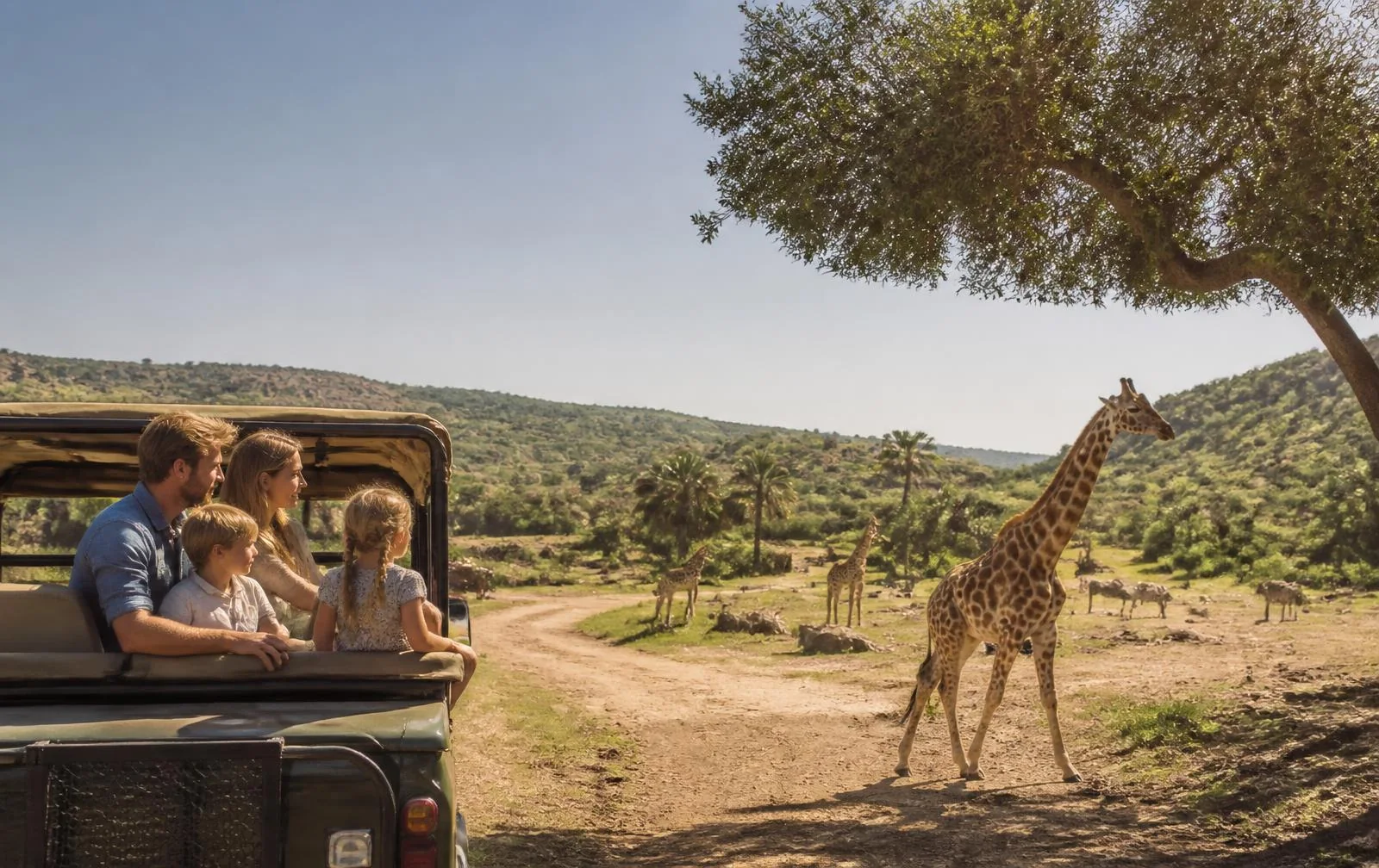 Familie bei einer Safari mit Giraffen in mediterraner Landschaft bei Sa Coma auf Mallorca