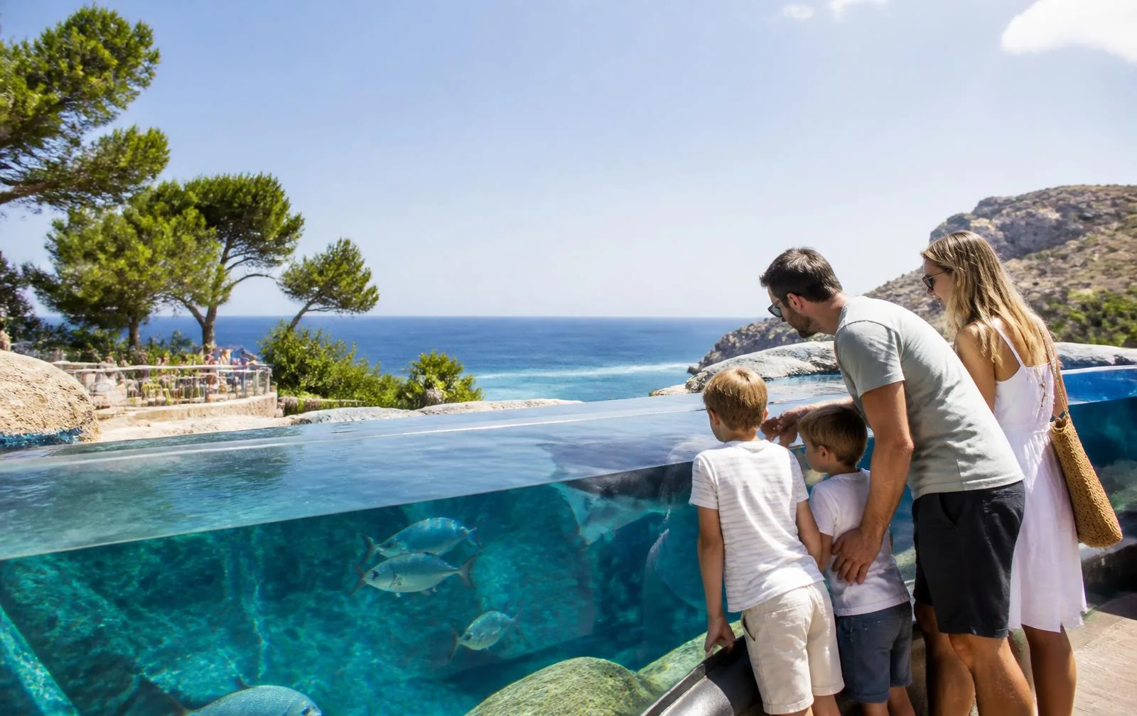 Familie an einem Aquarium mit Meerblick in Costa d’en Blanes auf Mallorca