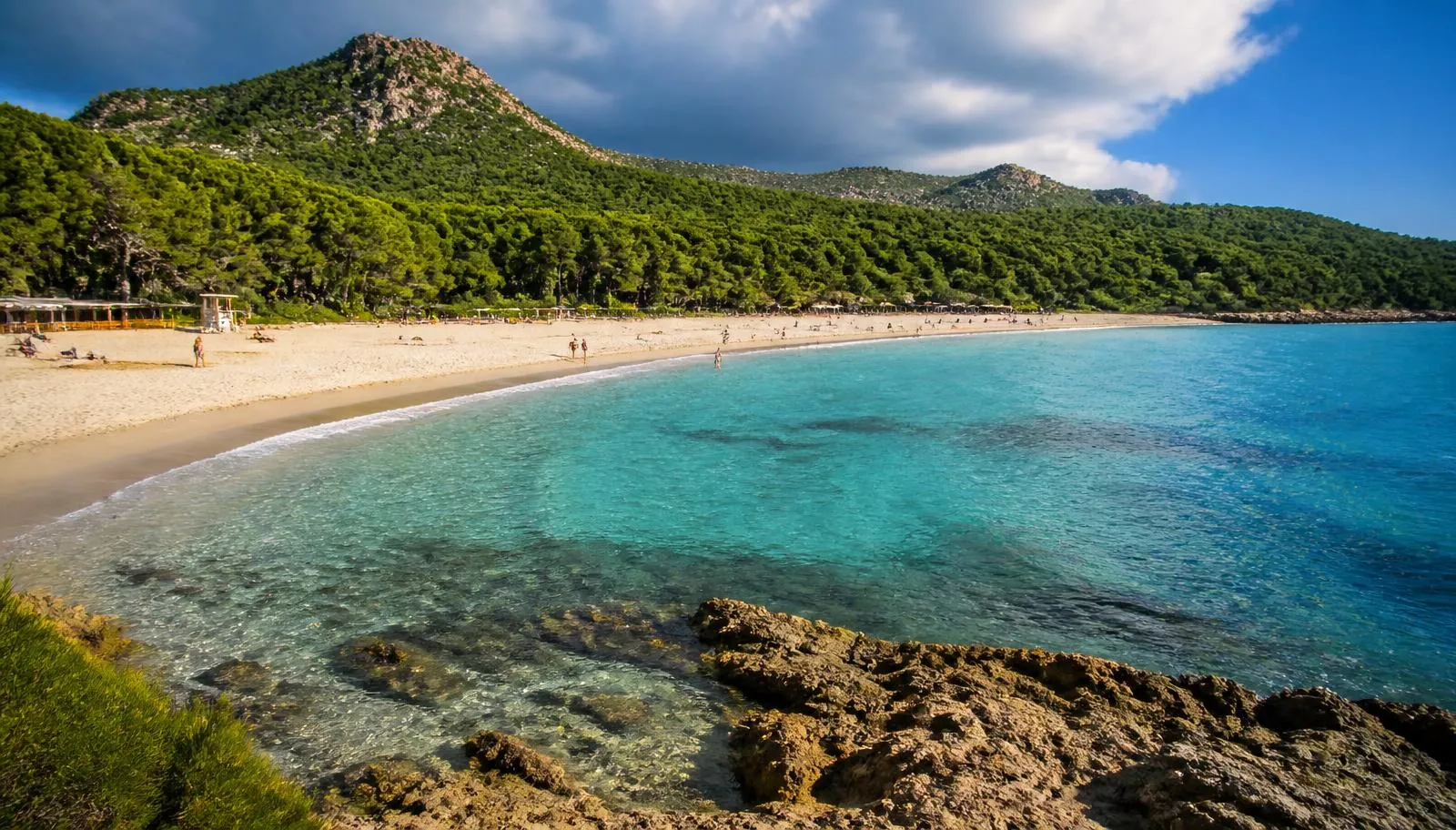 Cala Agulla im Nordosten von Mallorca mit Pinienwald und klarem blaugrünem Wasser