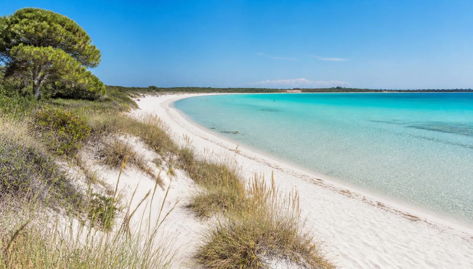 Es Trenc Strand auf Mallorca mit hellem Sand, Dünen und türkisfarbenem, flachem Meer