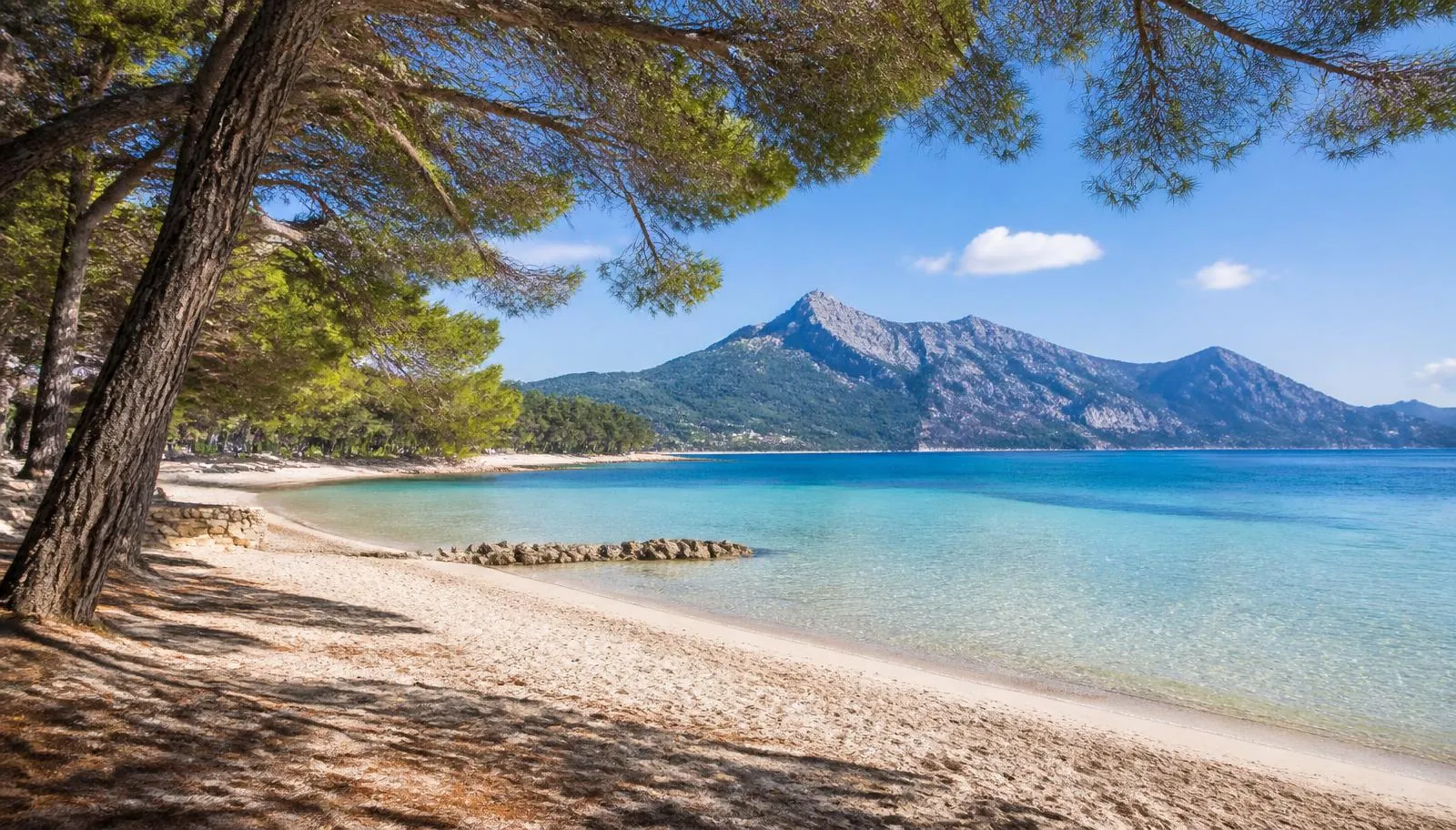 Playa de Formentor auf Mallorca mit Pinienschatten, hellem Sand und Blick auf die Tramuntana