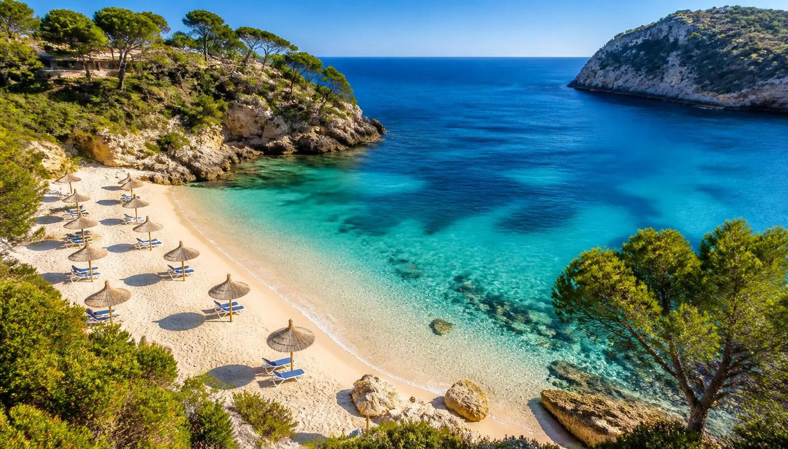 Badebucht auf Mallorca mit türkisfarbenem Wasser, hellem Sand und Pinien am Ufer