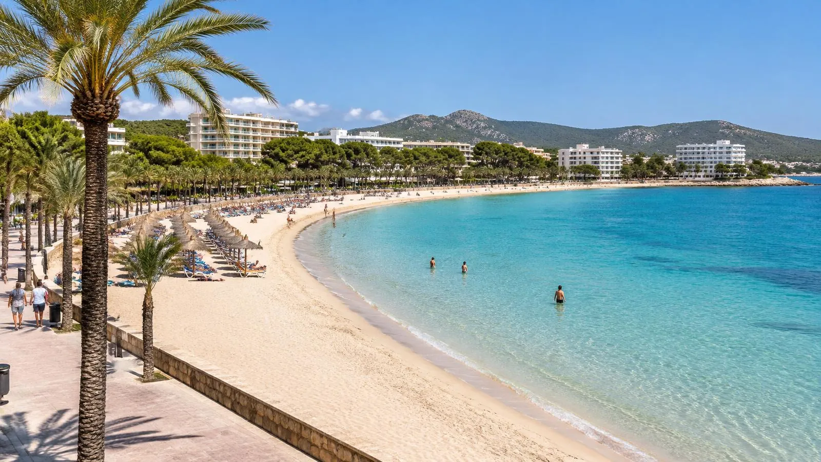 Sandbucht von Palmanova im Südwesten Mallorcas mit Palmenpromenade, Sonnenschirmen und ruhigem türkisem Wasser