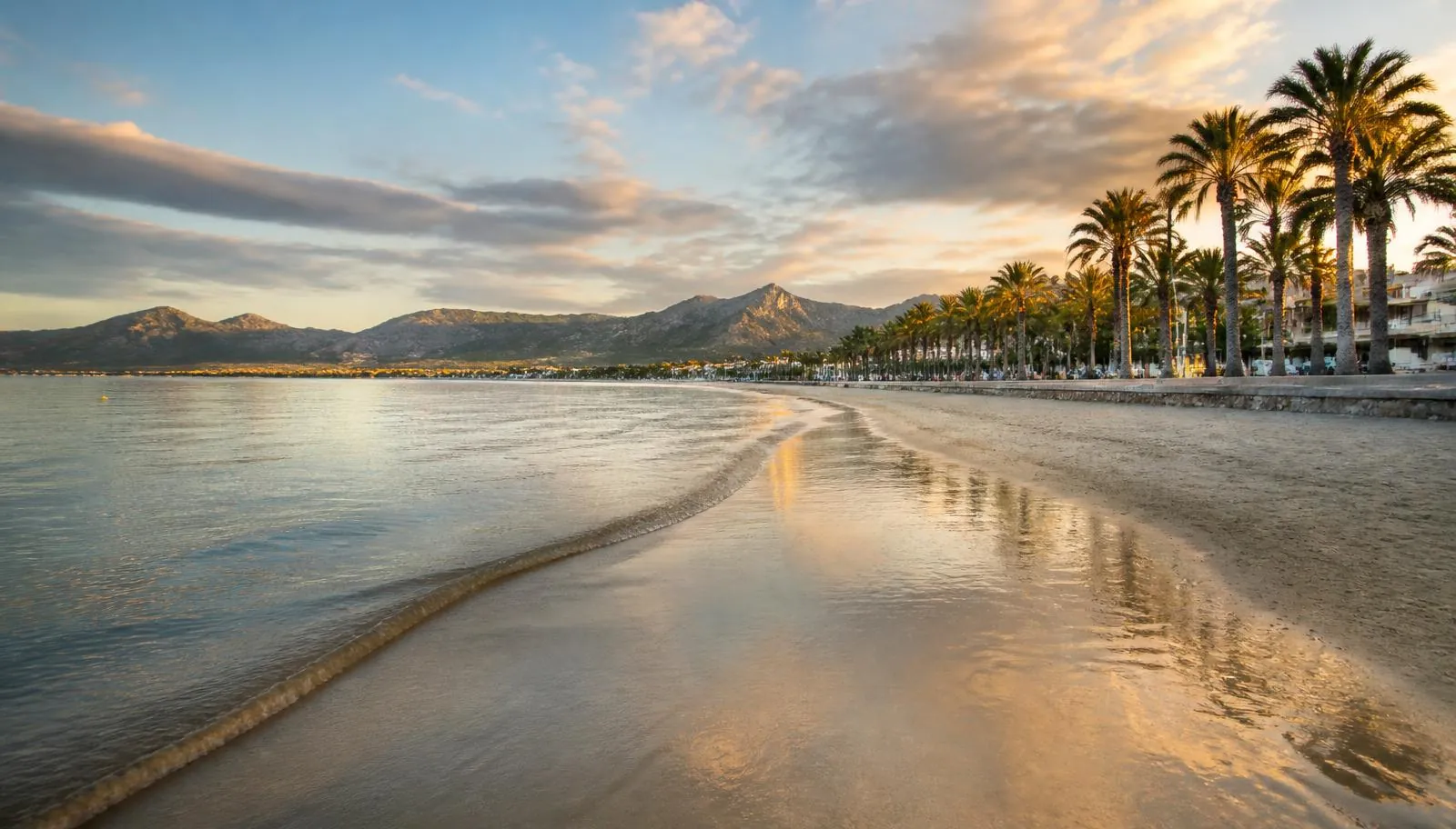 Playa de Alcúdia auf Mallorca im Abendlicht mit Palmenpromenade und den Bergen der Tramuntana