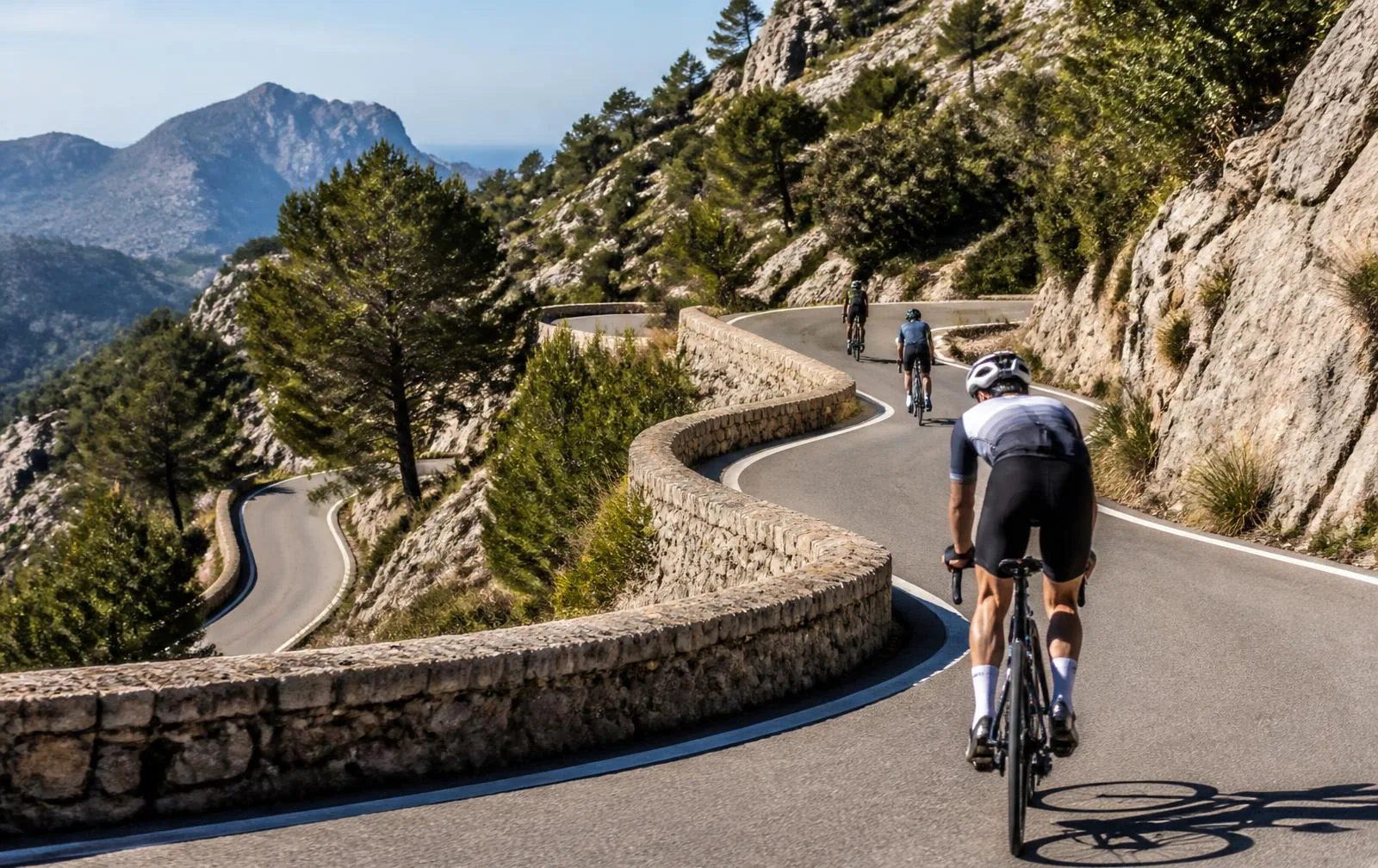 Rennradfahrer auf einer Serpentinenstraße der Serra de Tramuntana zwischen Trockenmauern und Pinien
