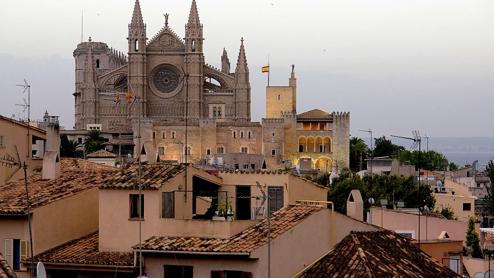 Blick über die Dächer der Altstadt von Palma de Mallorca zur beleuchteten Kathedrale La Seu